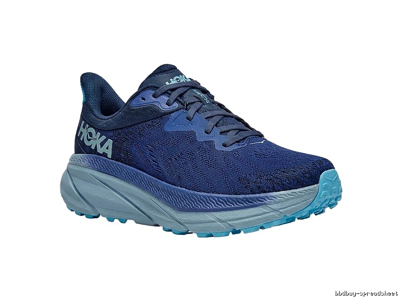 HOKA Bondi series retro-style blue-purple shoes