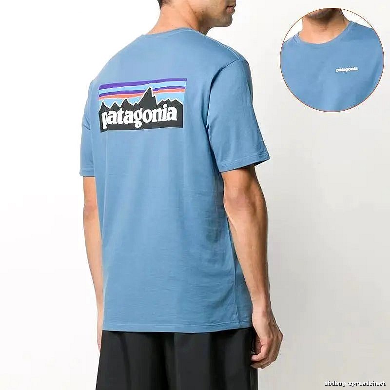 Patagonia Blue Logo T-Shirt Casual Layering Graphic